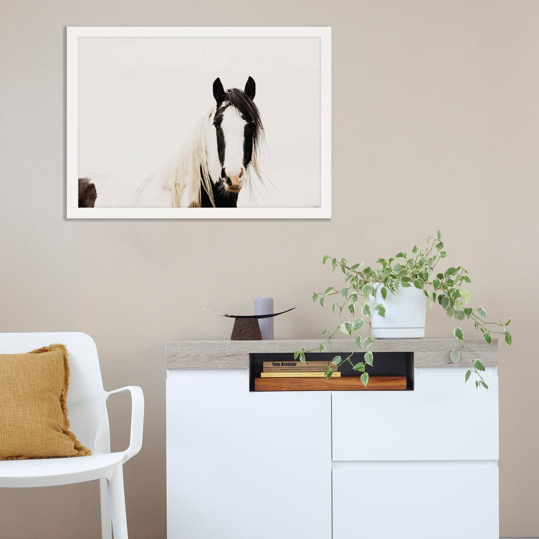 Pinto Horse Photographic Print by Emma Willetts