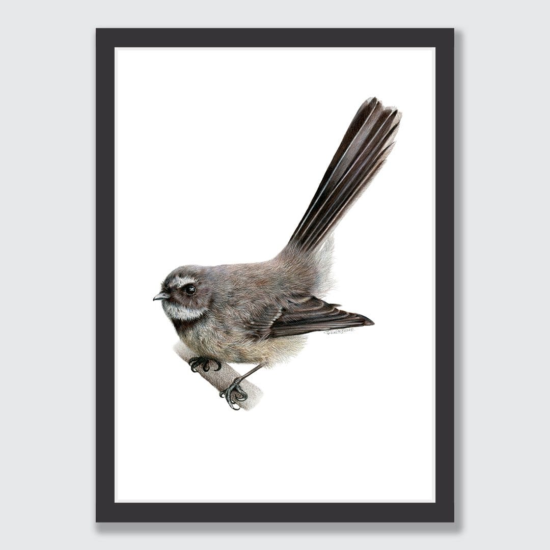 Fantail Art Print by Olivia Bezett