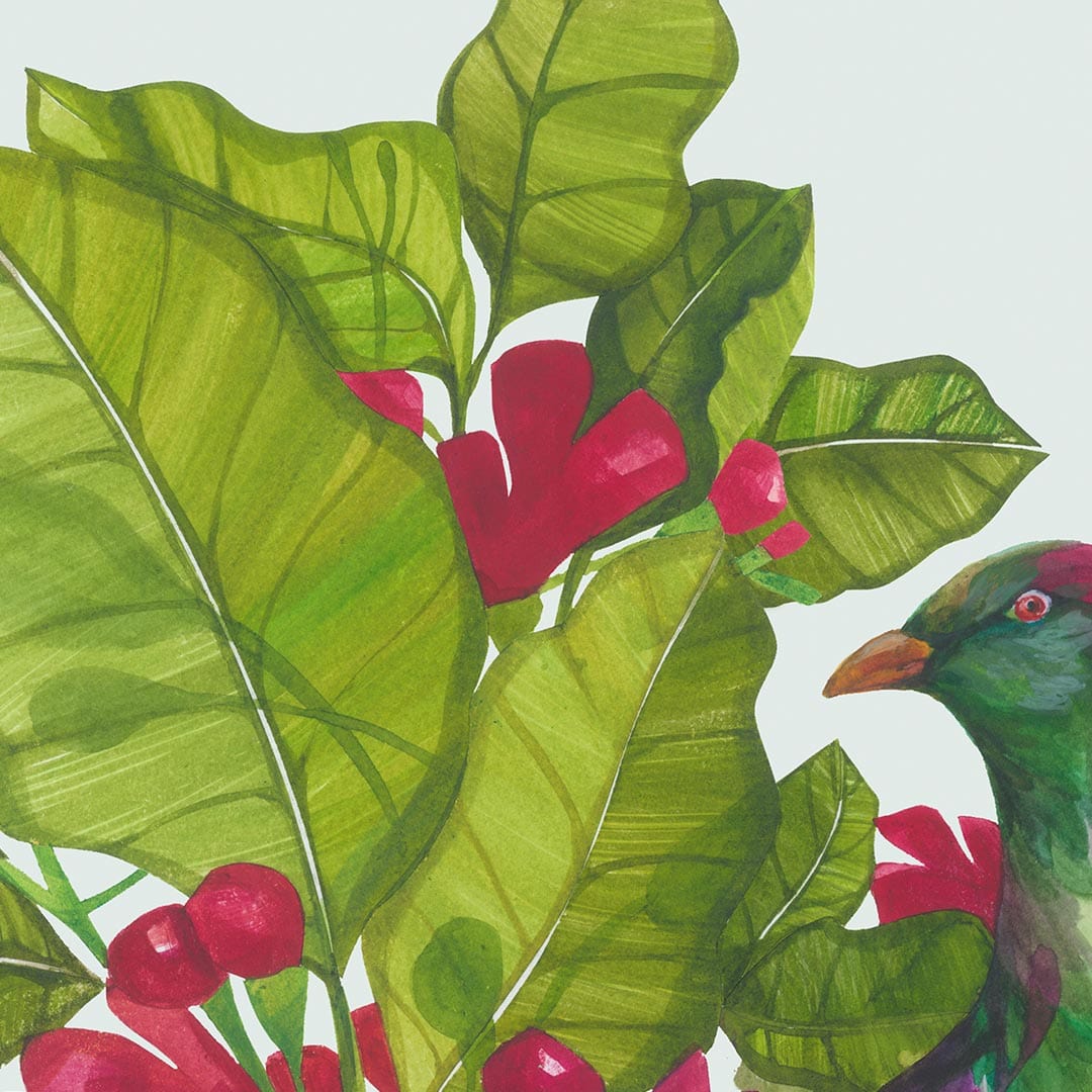 Puriri and Kereru Art Print by Holly Roach