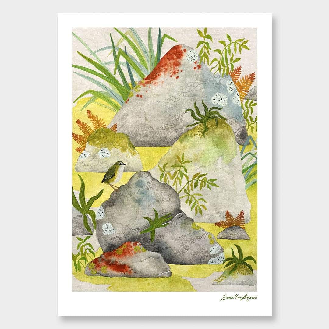 A bright and fresh watercolour print of a Wren perched on a rock in the beautiful Fiordland.