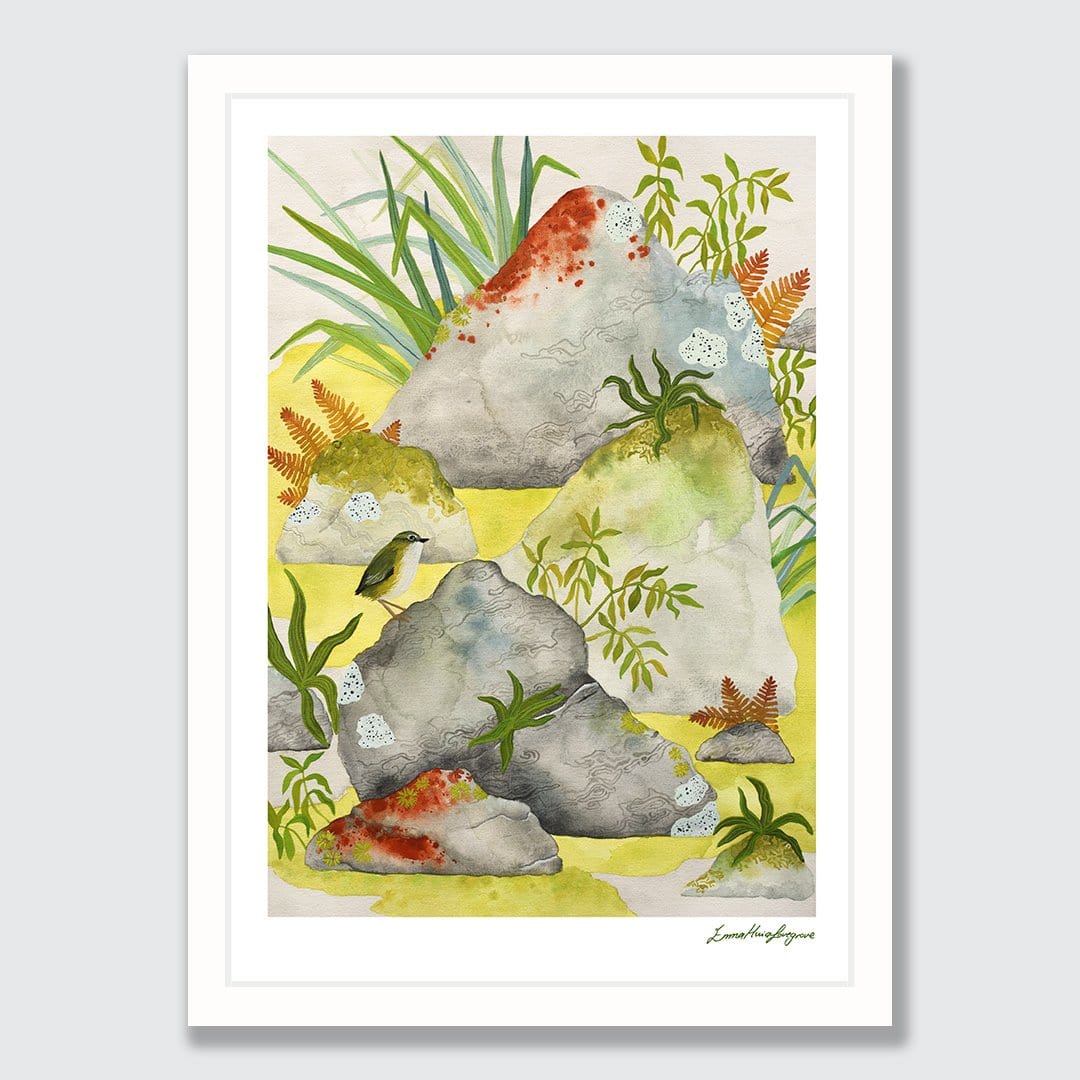 A bright and fresh watercolour print of a Wren perched on a rock in the beautiful Fiordland.