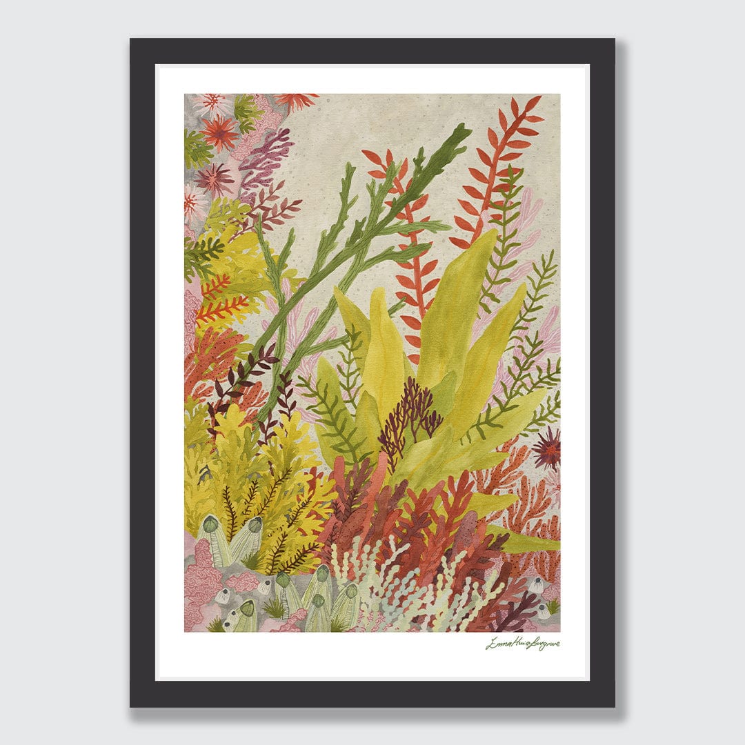 Rock Pool Garden Art Print by Emma Huia Lovegrove