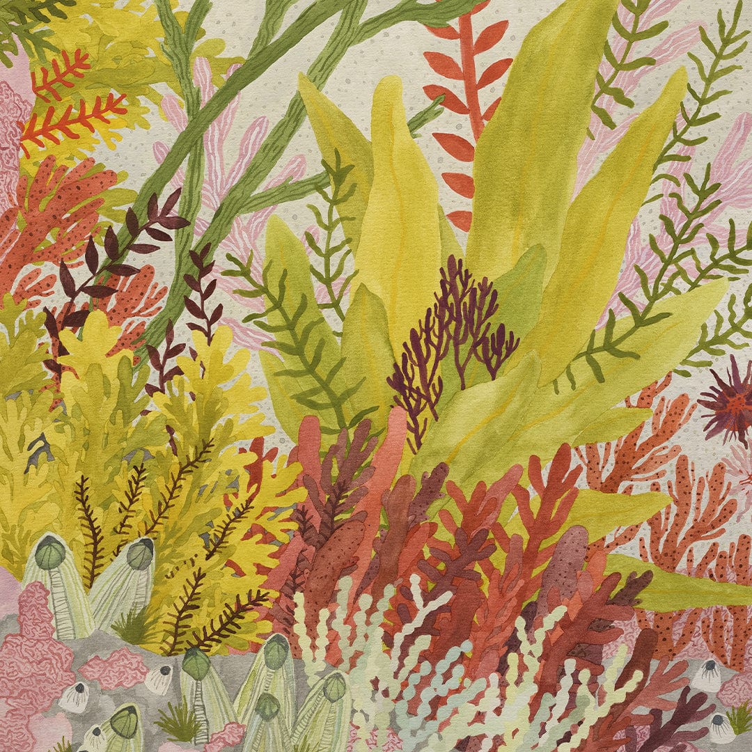 Rock Pool Garden Art Print by Emma Huia Lovegrove
