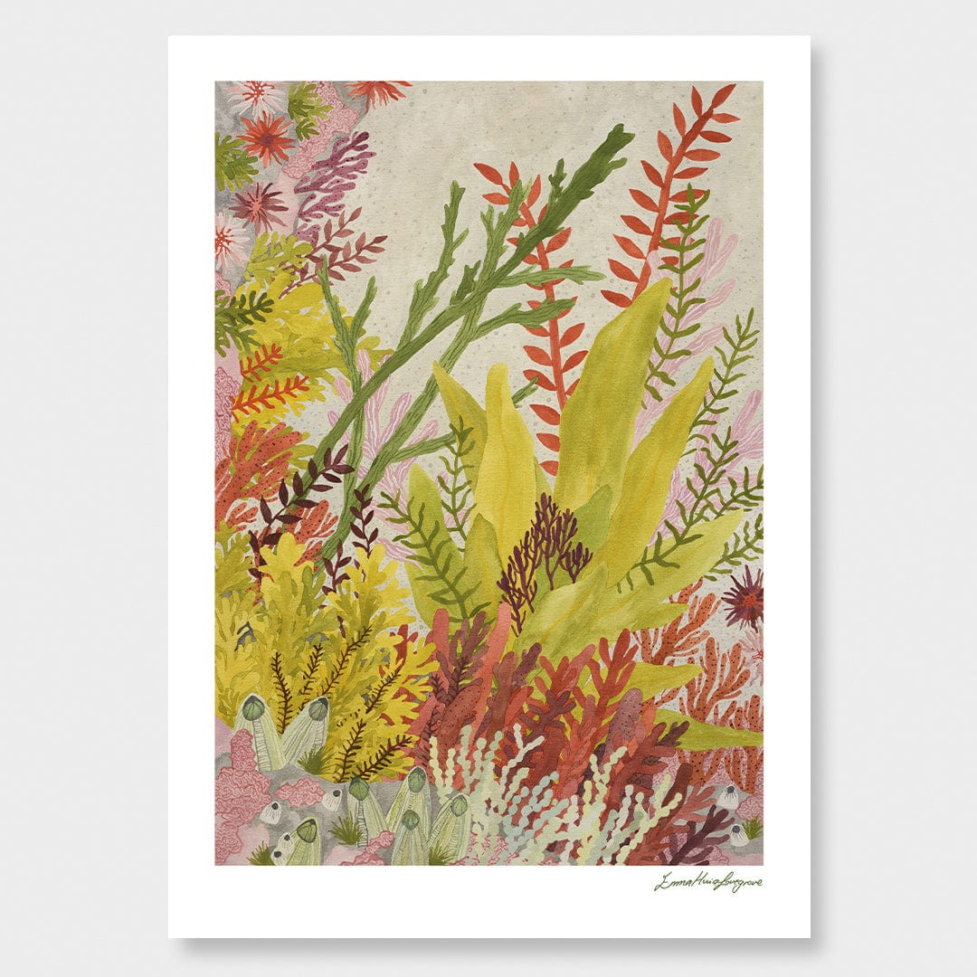 Rock Pool Garden Art Print by Emma Huia Lovegrove