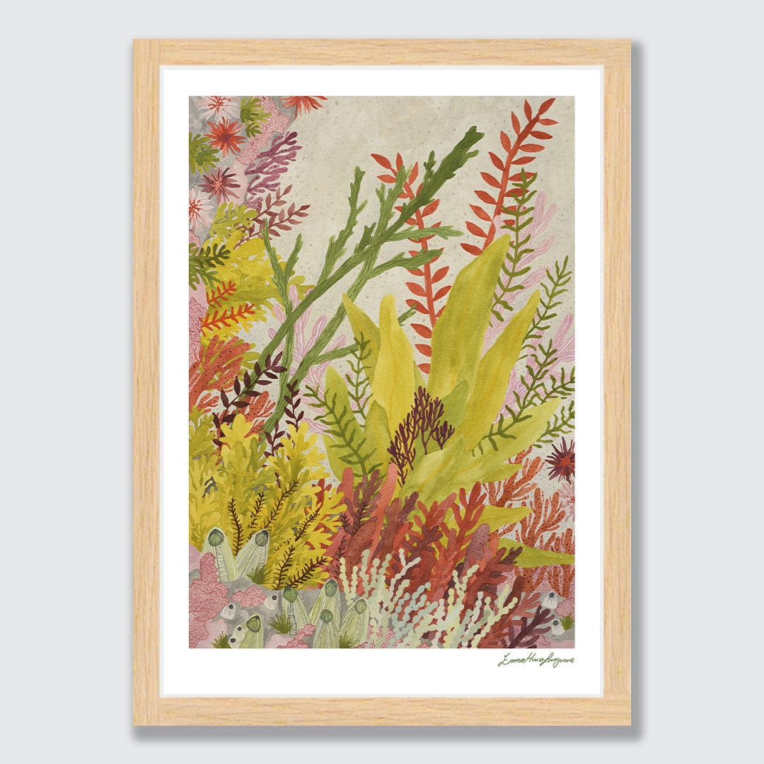 Rock Pool Garden Art Print by Emma Huia Lovegrove