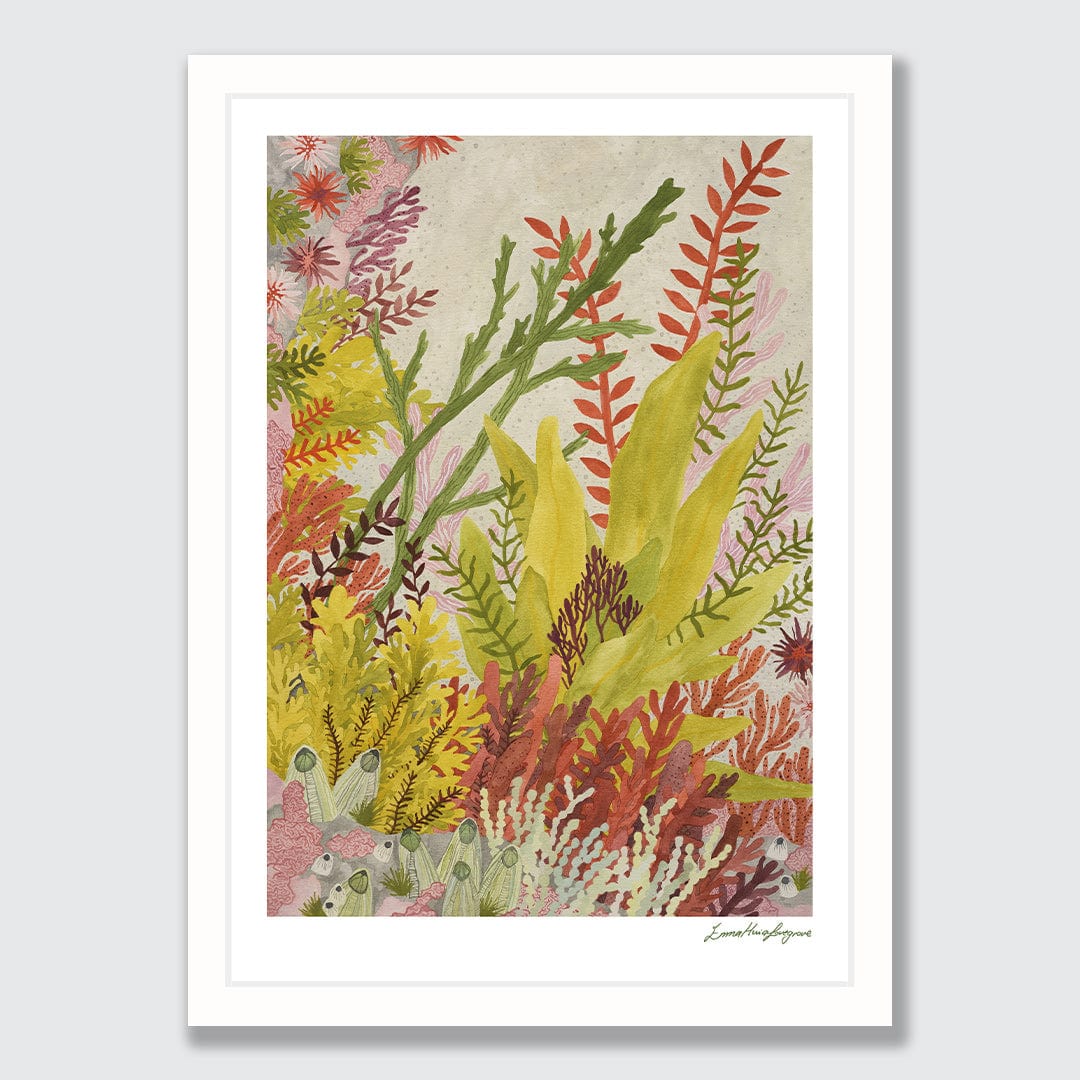 Rock Pool Garden Art Print by Emma Huia Lovegrove