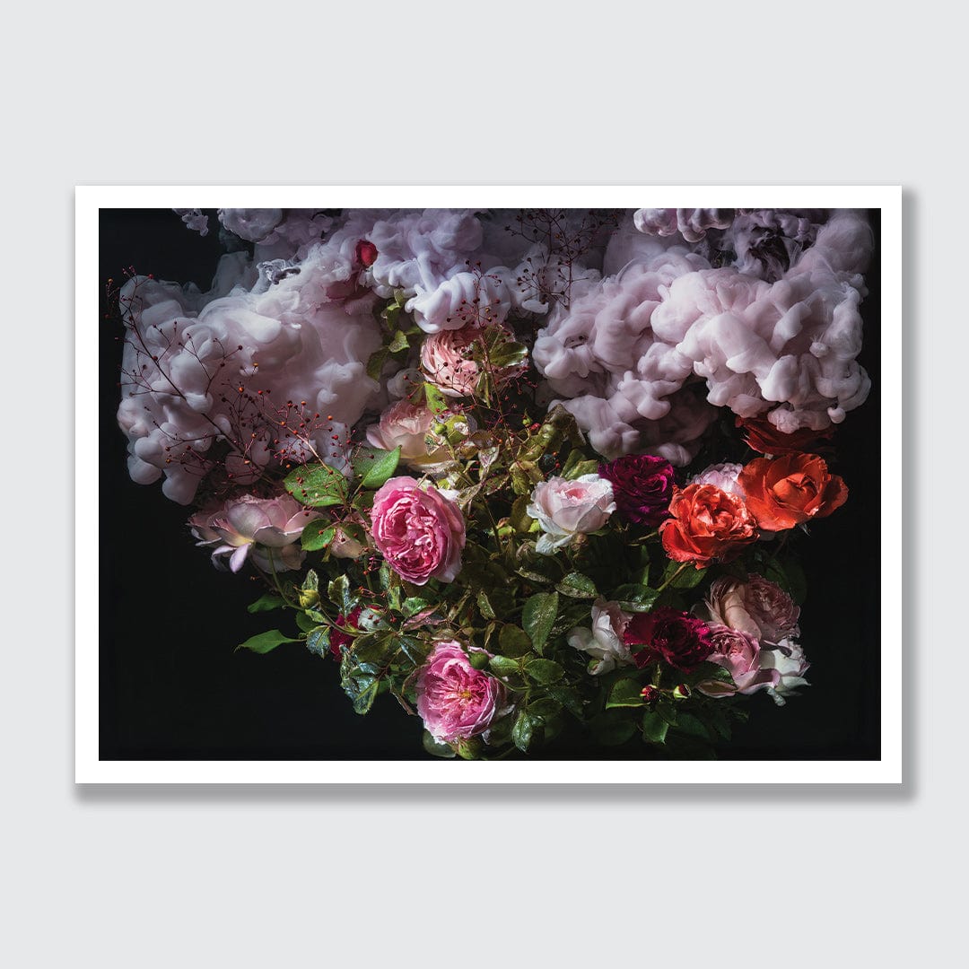 Rose Plume Photographic Print by Georgie Malyon