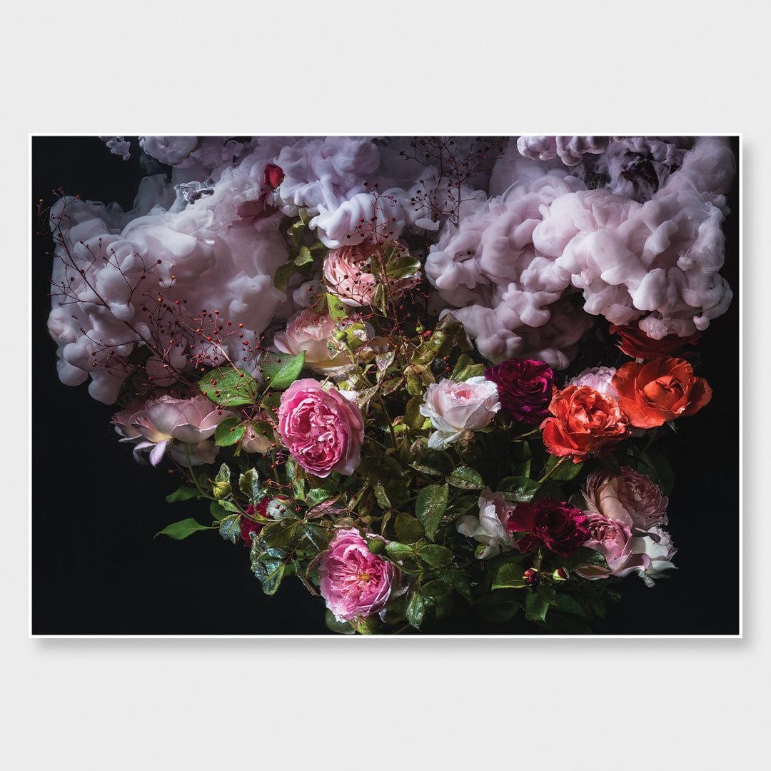 Rose Plume Photographic Print by Georgie Malyon