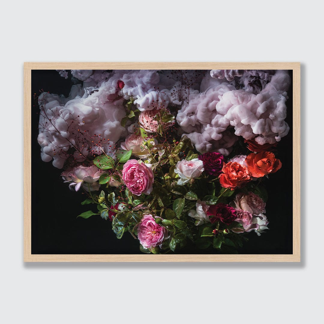 Rose Plume Photographic Print by Georgie Malyon