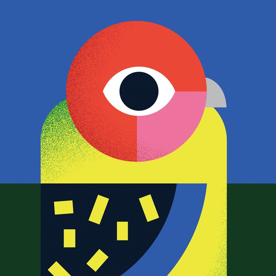 Products Rosella Art Print by Beth Xia