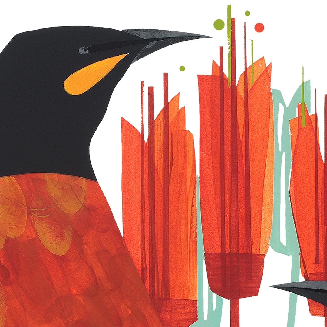 Saddlebacks Art Print by Holly Roach