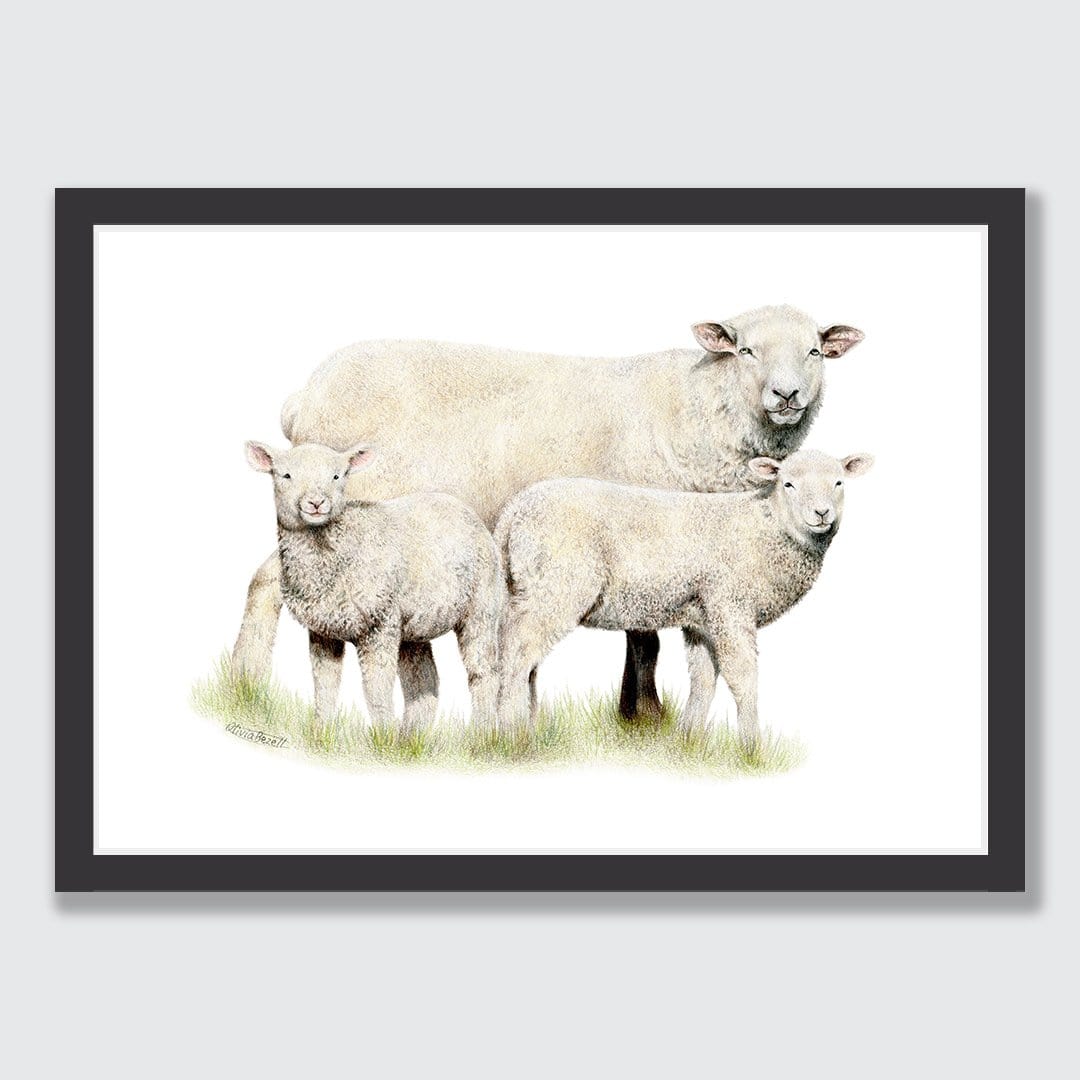 Sheep Family Art Print by Olivia Bezett