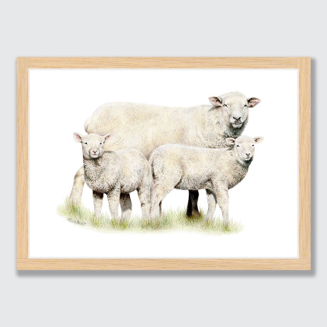 Sheep Family Art Print by Olivia Bezett
