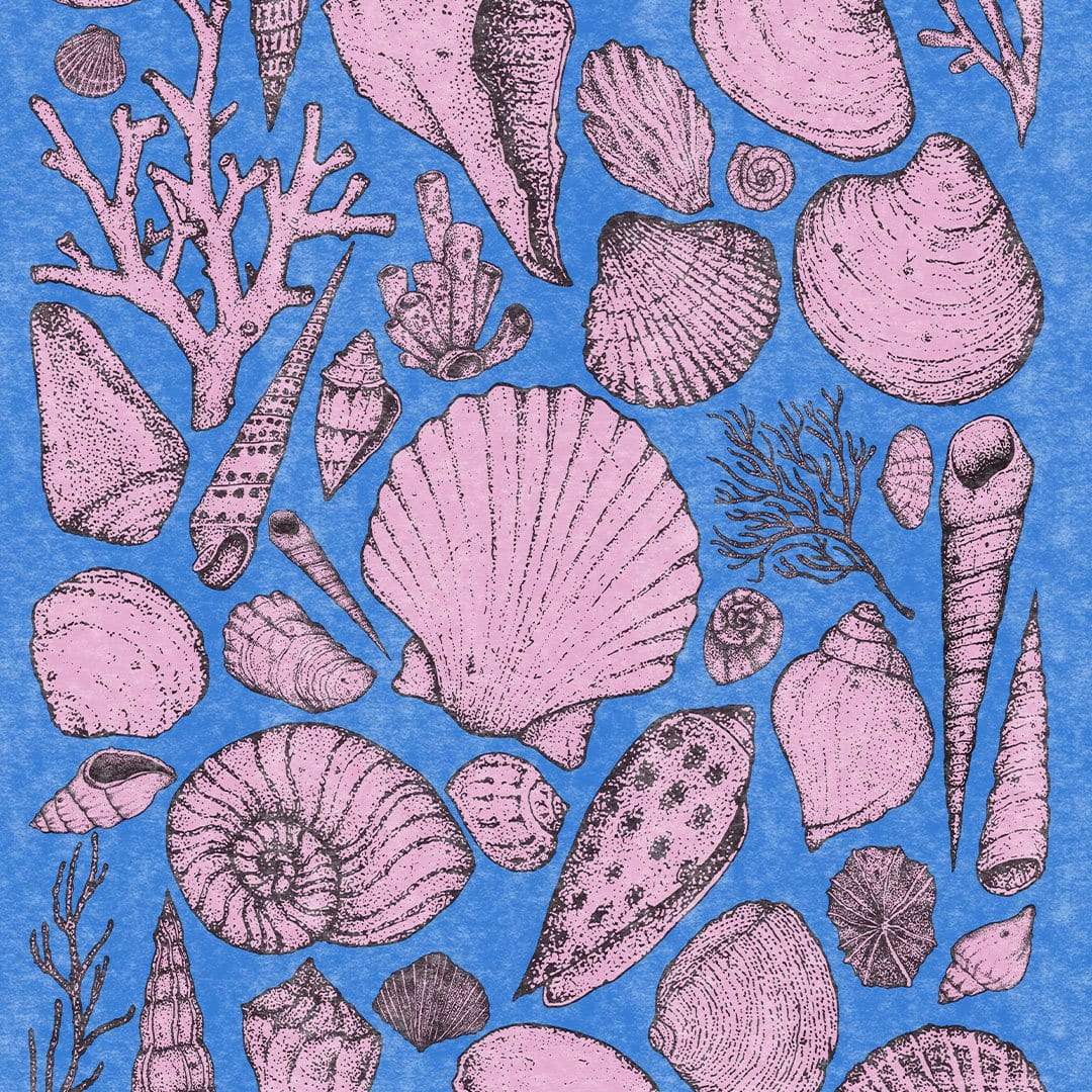Shells Blue Art Print by Nathan Miller