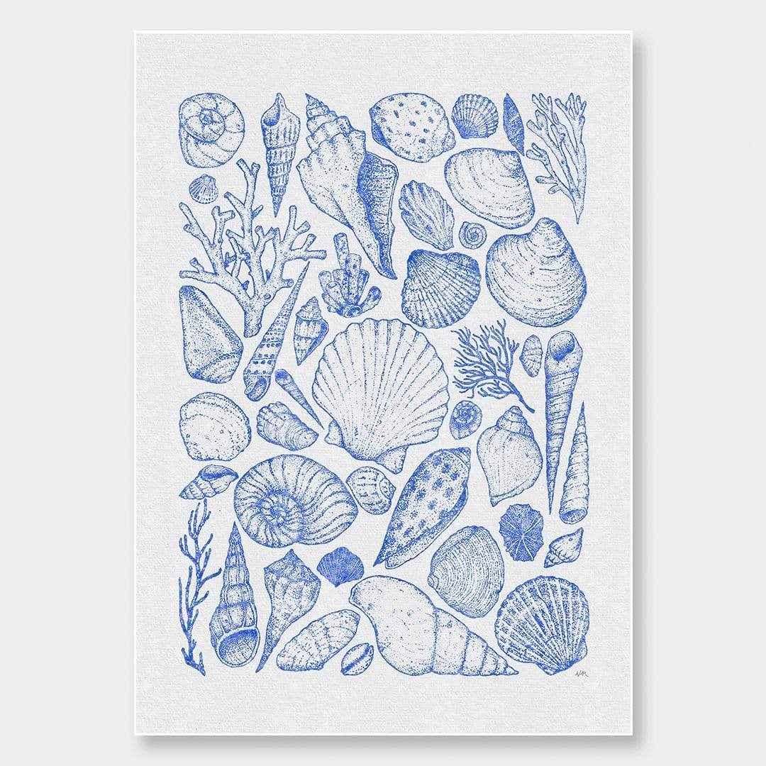 Shells Grey Art Print by Nathan Miller