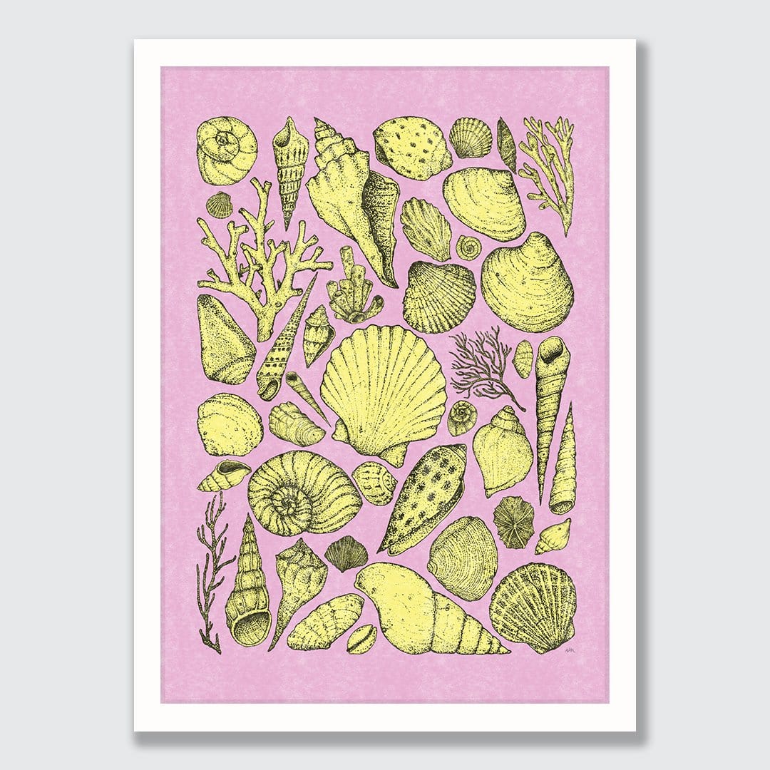 Shells Pink Art Print by Nathan Miller