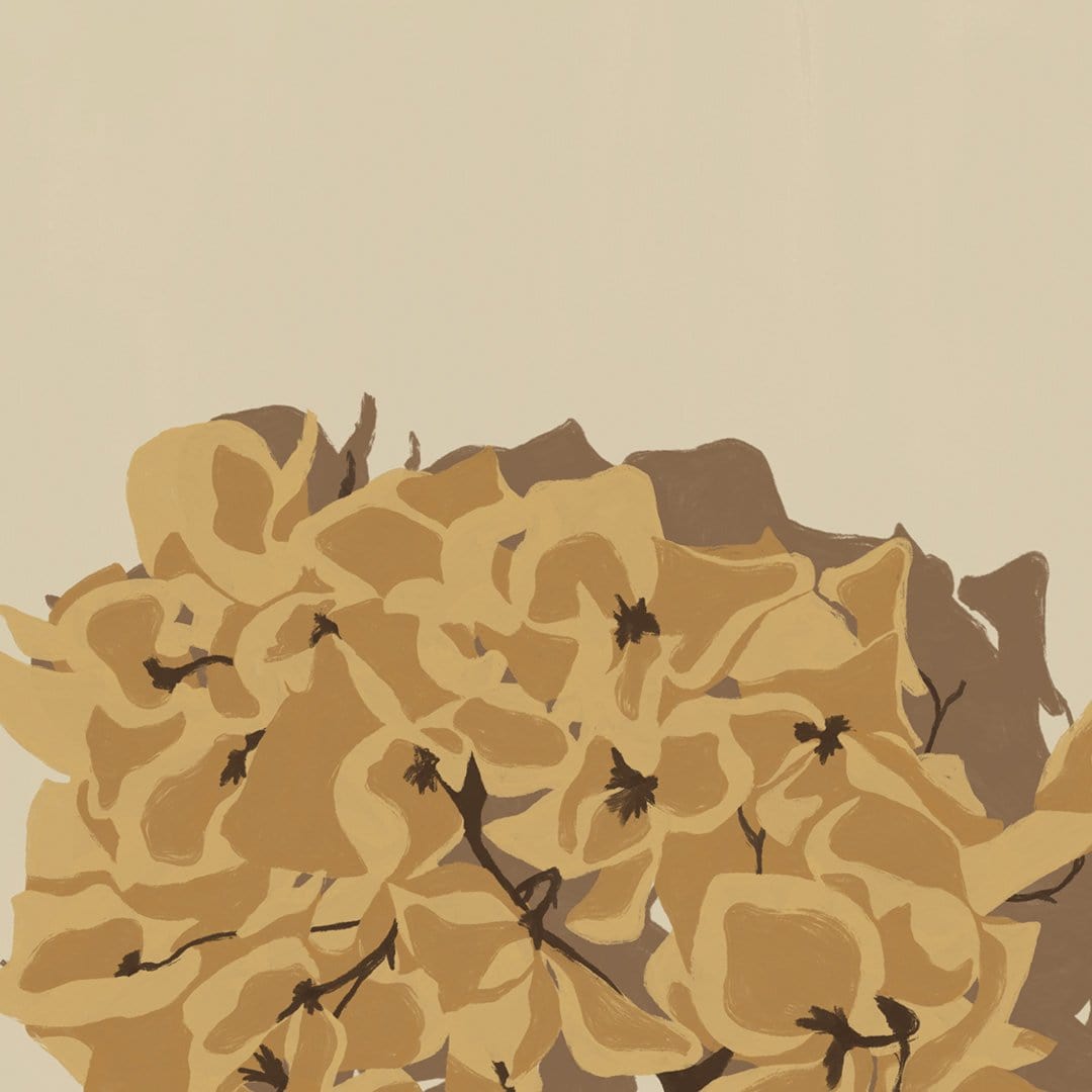 Single Dried Hydrangea Art Print by Home Time