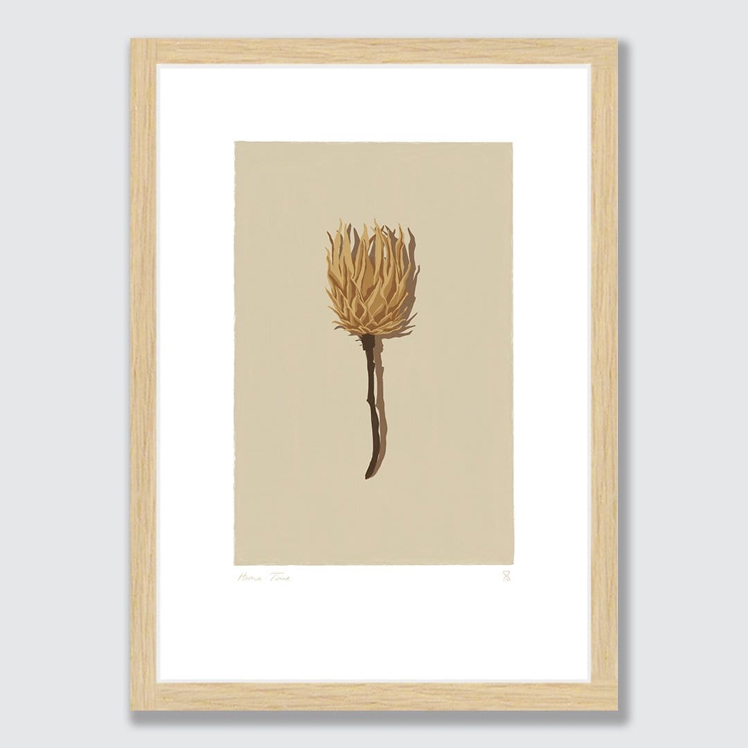 Single Dried Protea Art Print by Home Time