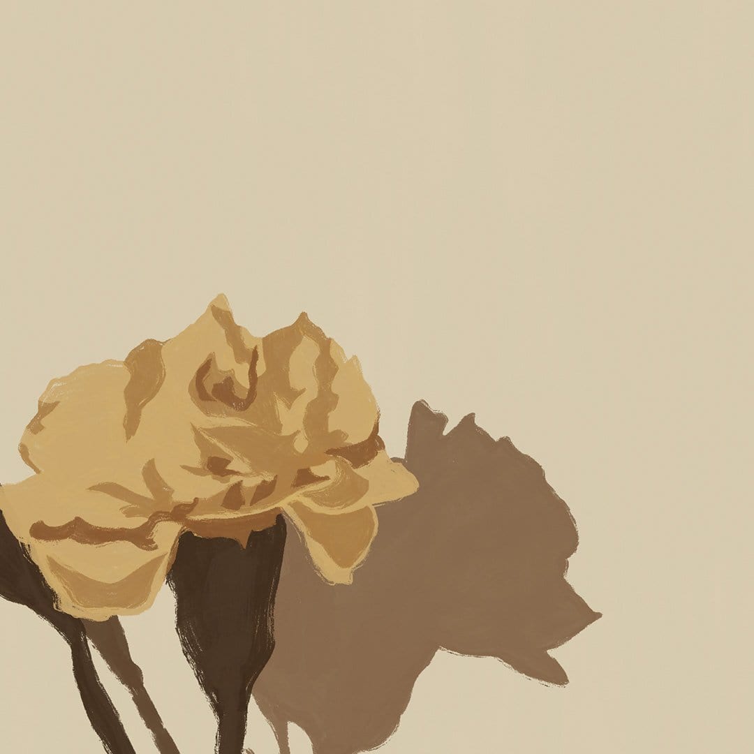 Single Dried Rose Art Print by Home Time
