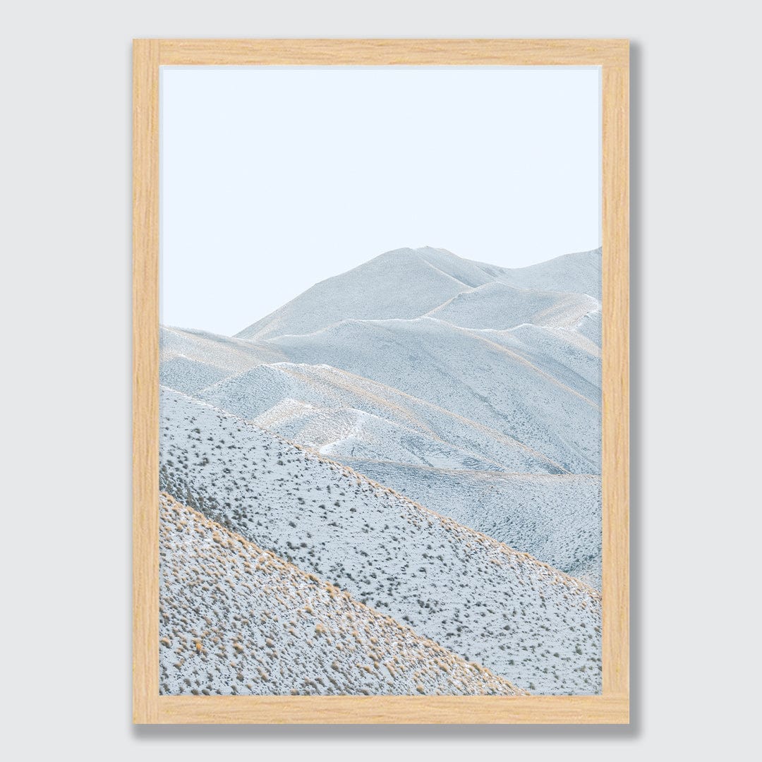 Snow Leopard Photographic Print by Emma Willetts