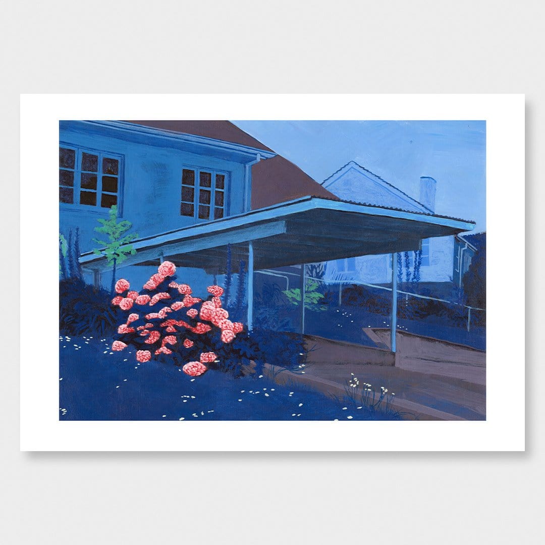 The Pink House Art Print by Simon Stockley - endemicworld
