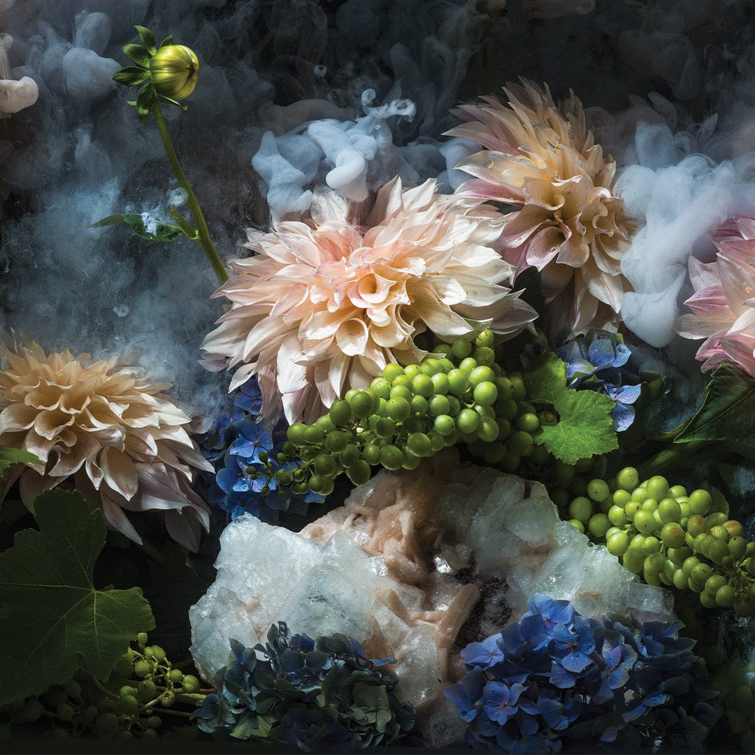 Still Life Flowers &amp; Nature Photographic Print by Georgie Malyon