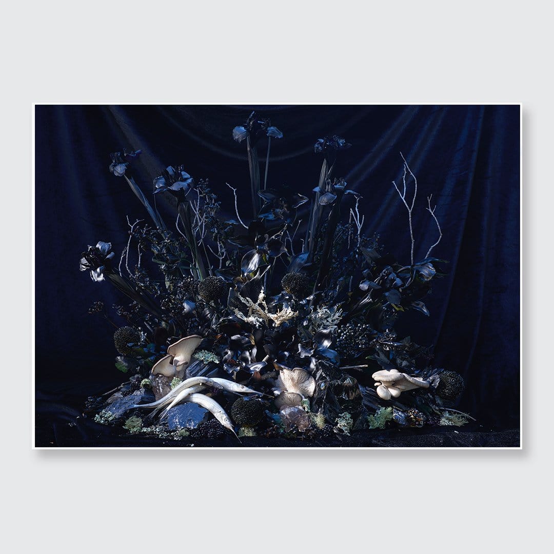 Still Life with Obsidian & Black Iris Photographic Print by Georgie Malyon