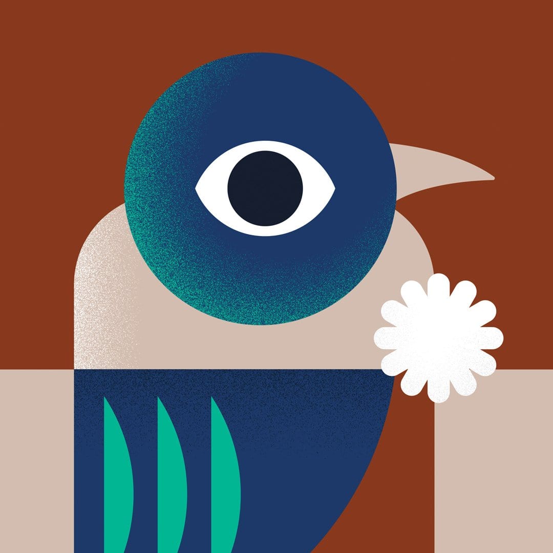 Tūī Art Print by Beth Xia