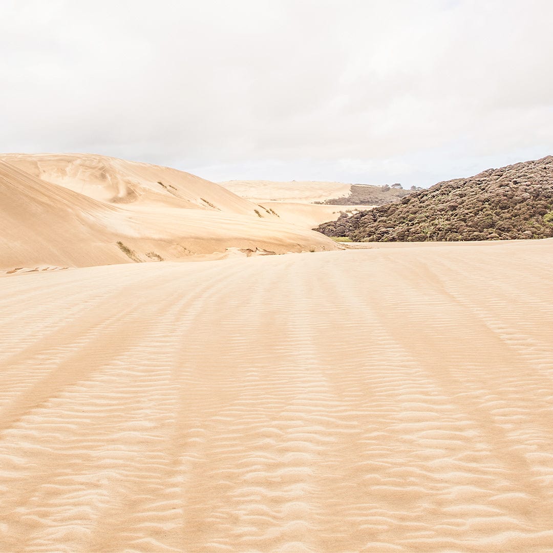 Tatahi Limited Edition Photographic Print by Elliot Alexander
