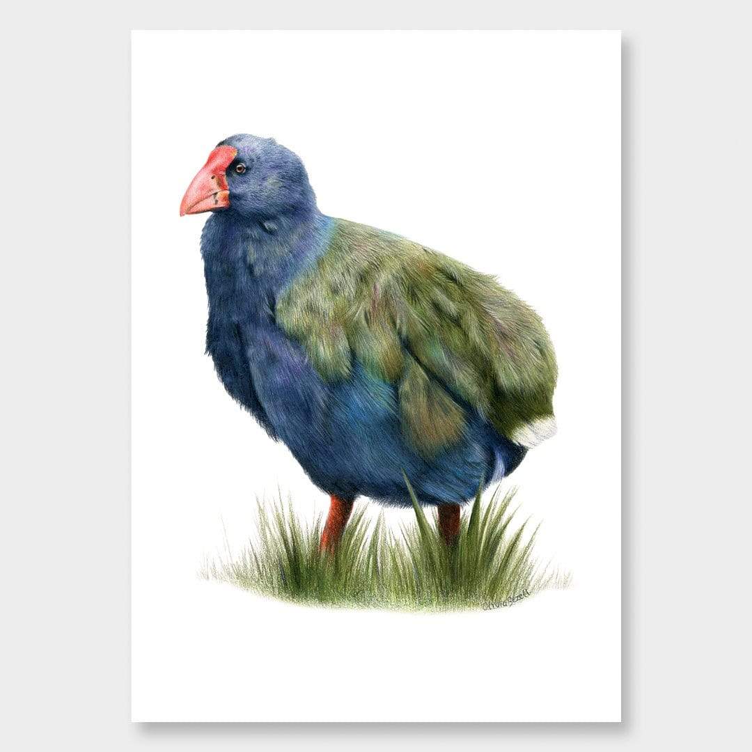 Takahē Art Print by Olivia Bezett