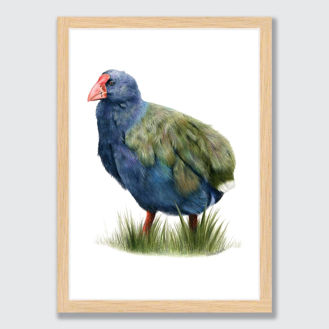 Takahē Art Print by Olivia Bezett