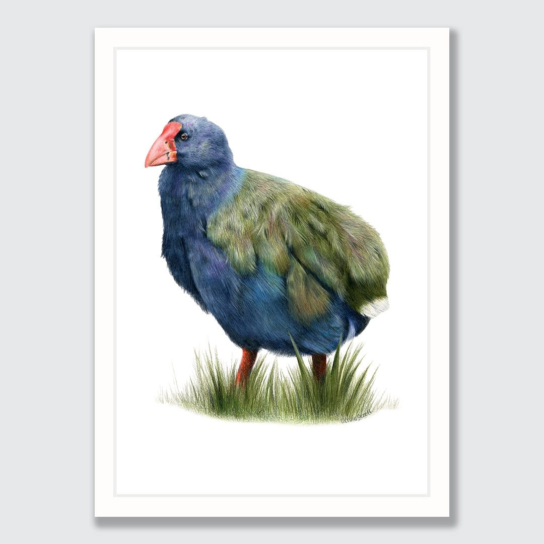 Takahē Art Print by Olivia Bezett