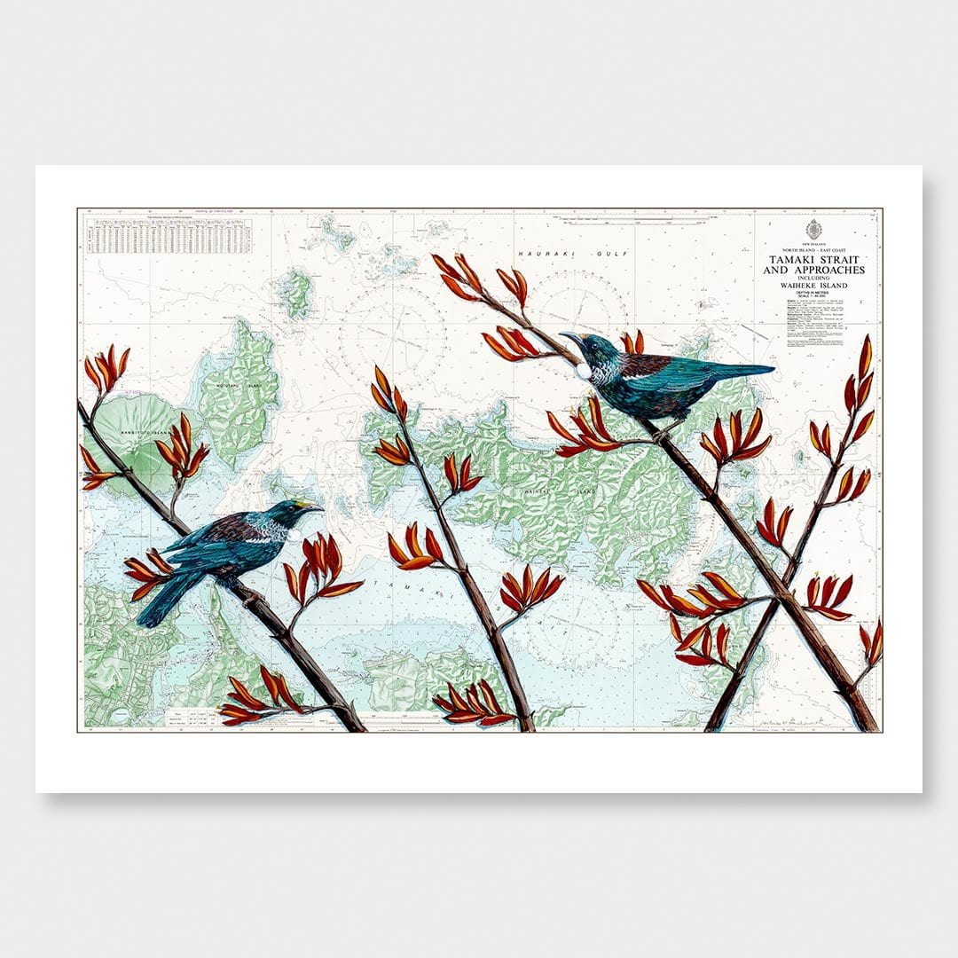 Tamaki Tui Art Print by Justine Hawksworth
