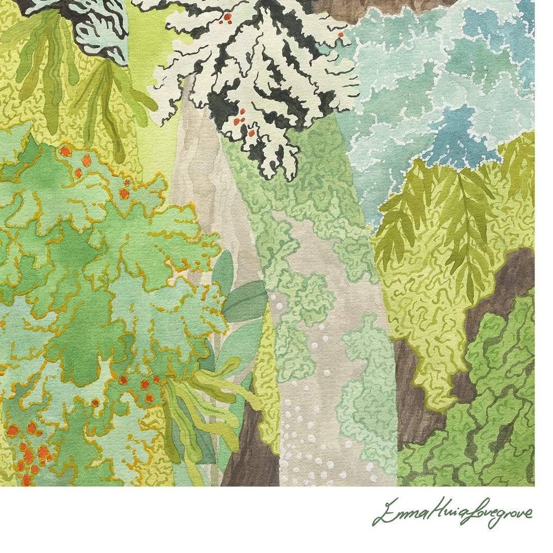 Taranaki Falls Lichen Art Print by Emma Huia Lovegrove