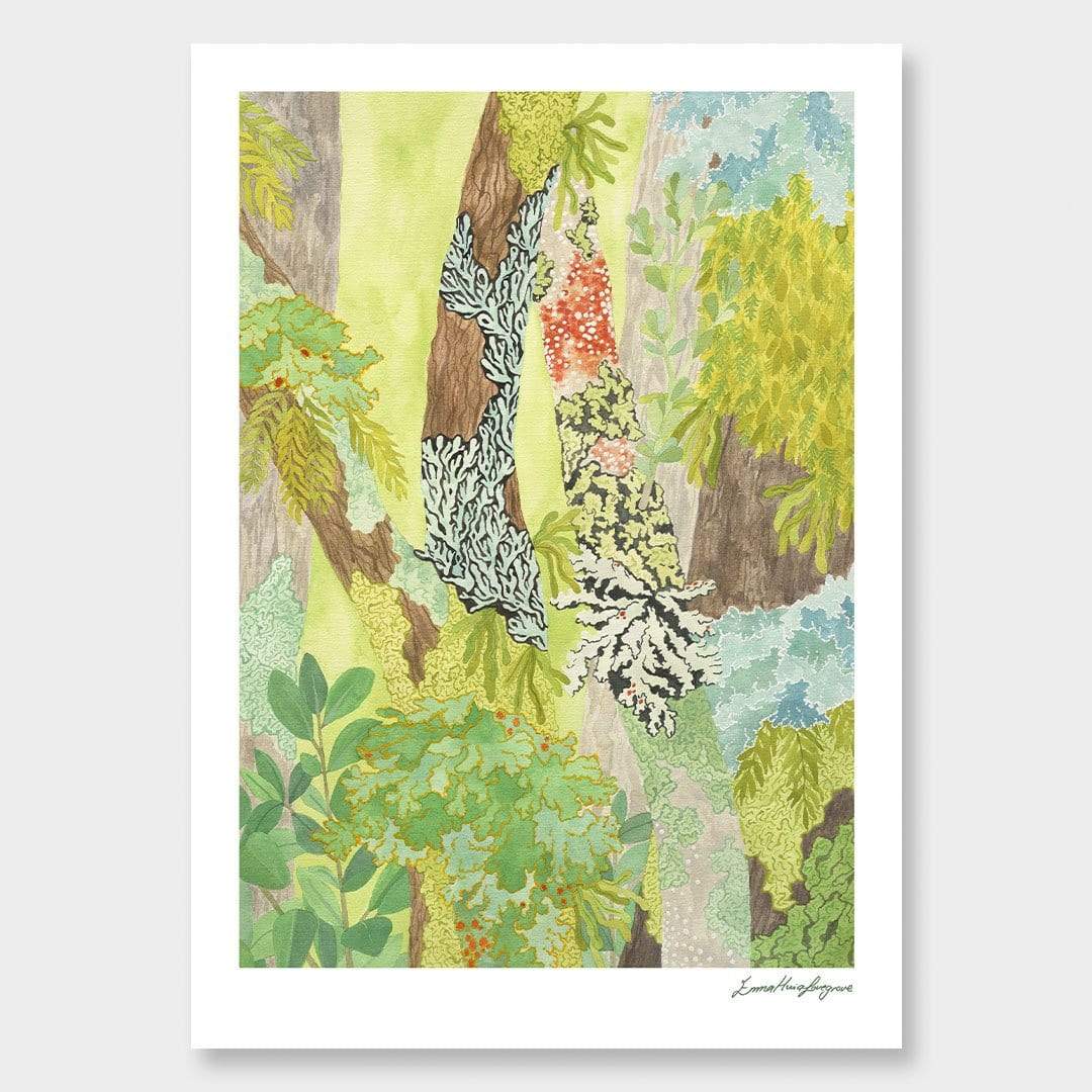 Taranaki Falls Lichen Art Print by Emma Huia Lovegrove