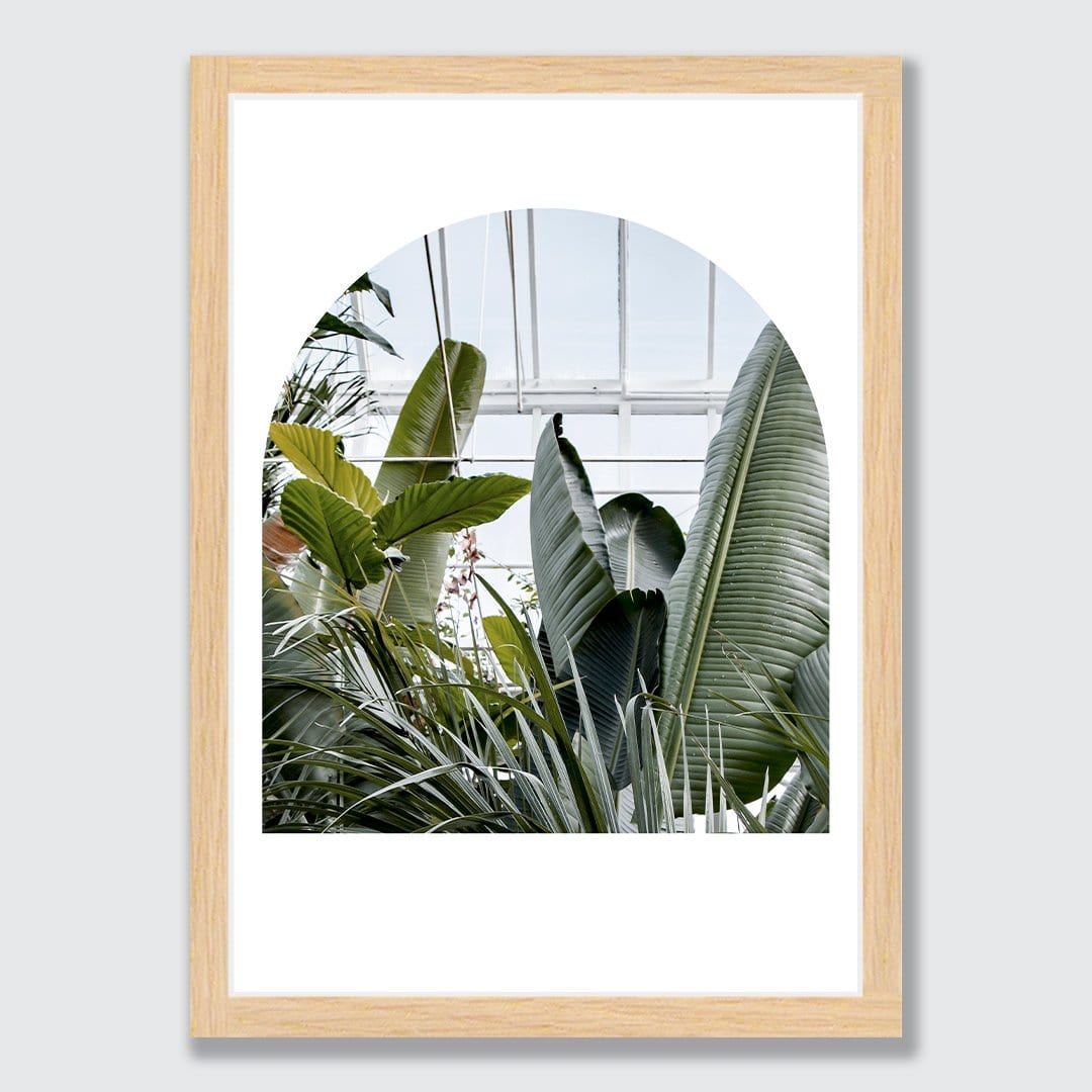 The Tropical House Photographic Print by Amy Wybrow