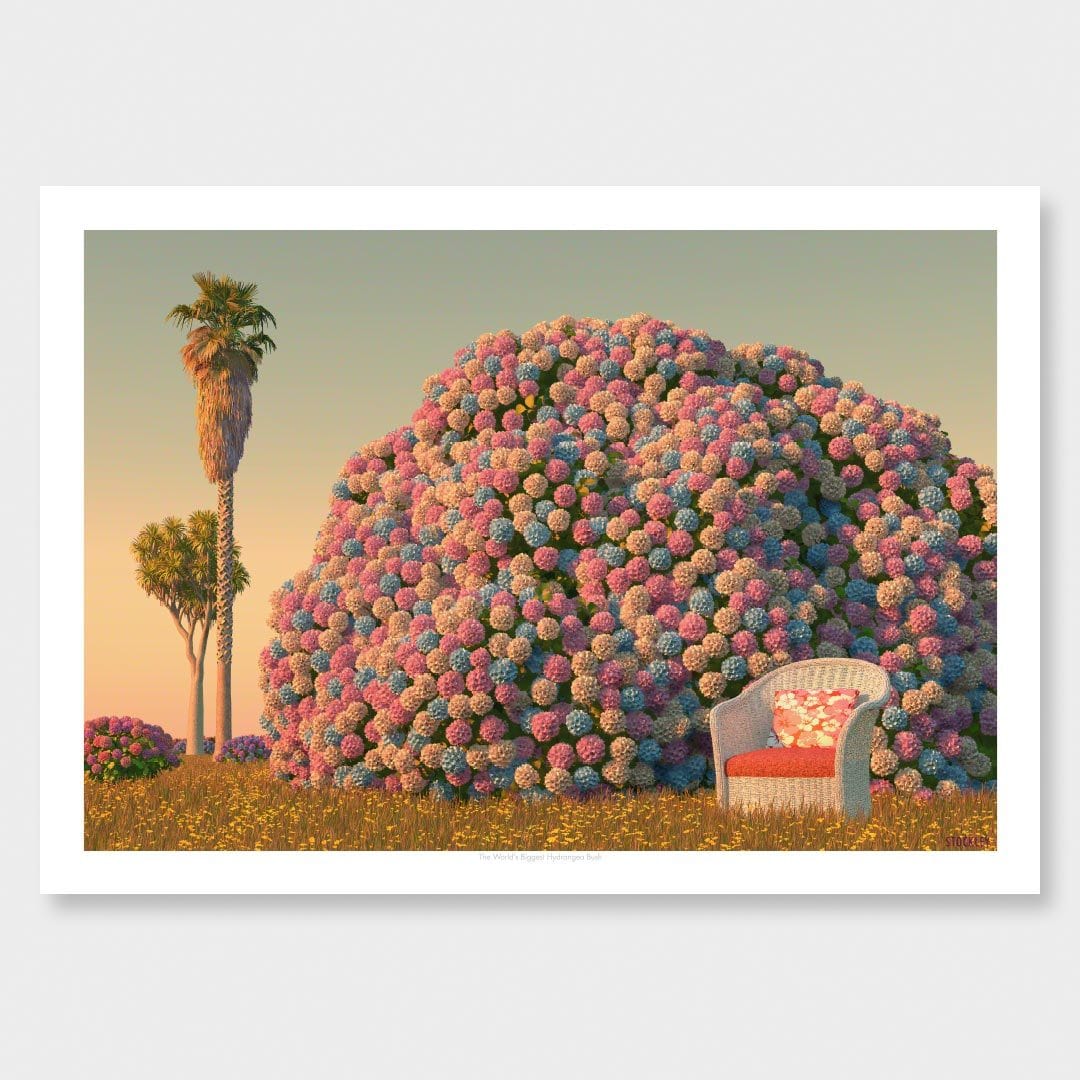 The World's Biggest Hydrangea Bush Art Print by Simon Stockley
