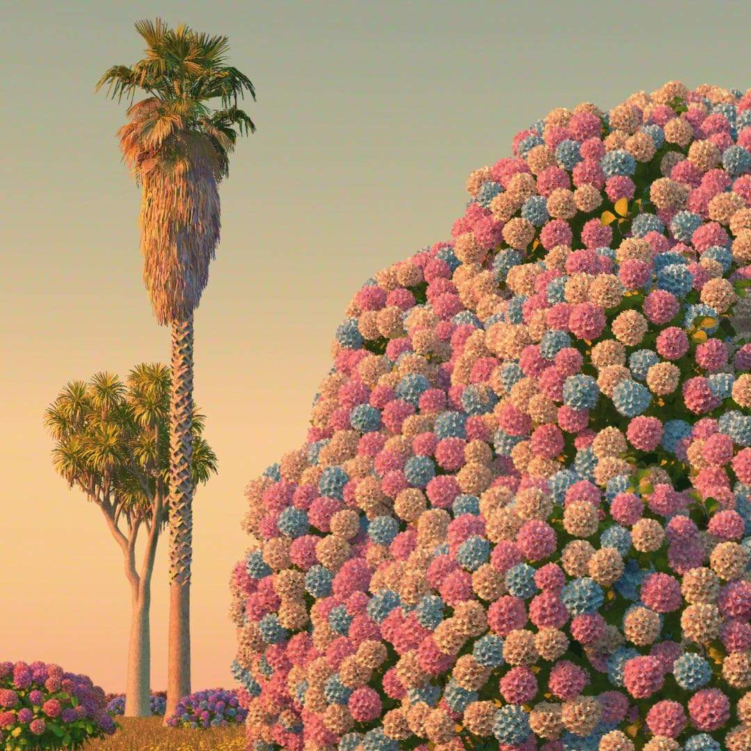 The World's Biggest Hydrangea Bush Art Print by Simon Stockley