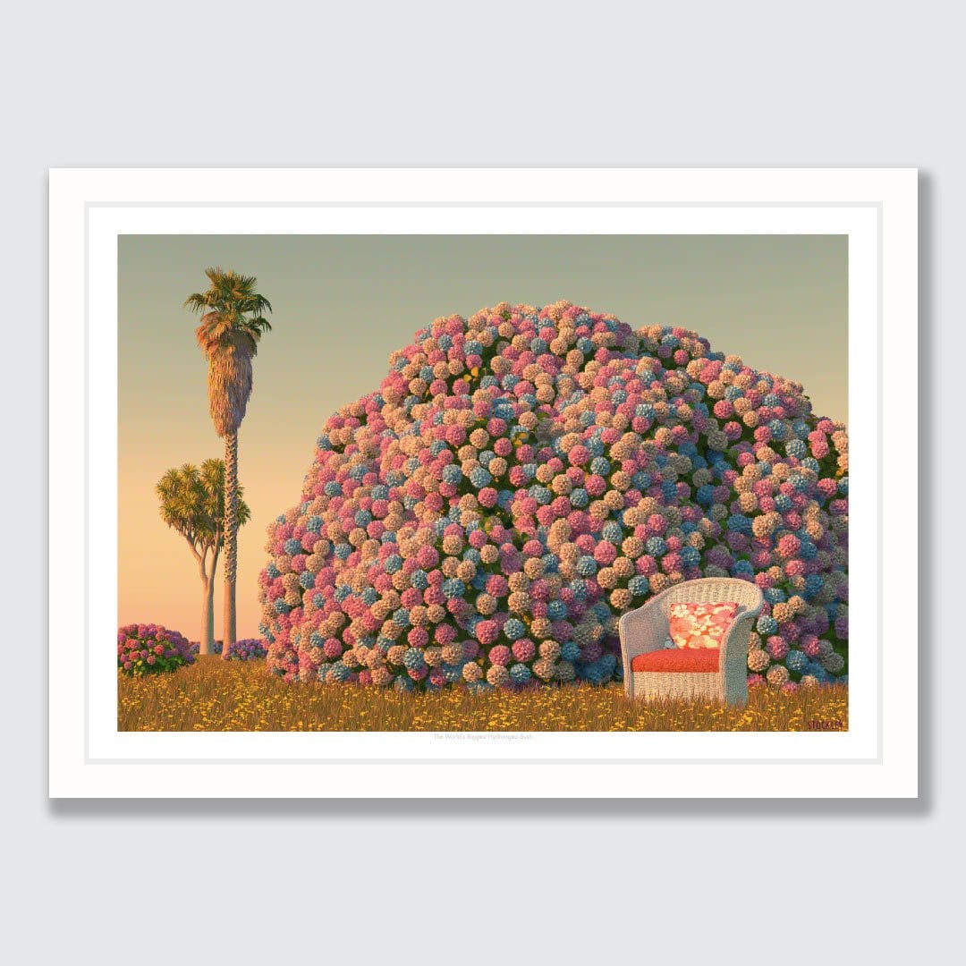 The World's Biggest Hydrangea Bush Art Print by Simon Stockley