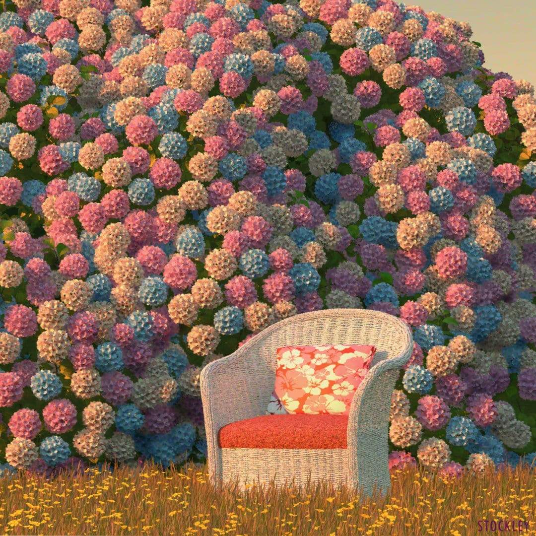 The World's Biggest Hydrangea Bush Art Print by Simon Stockley
