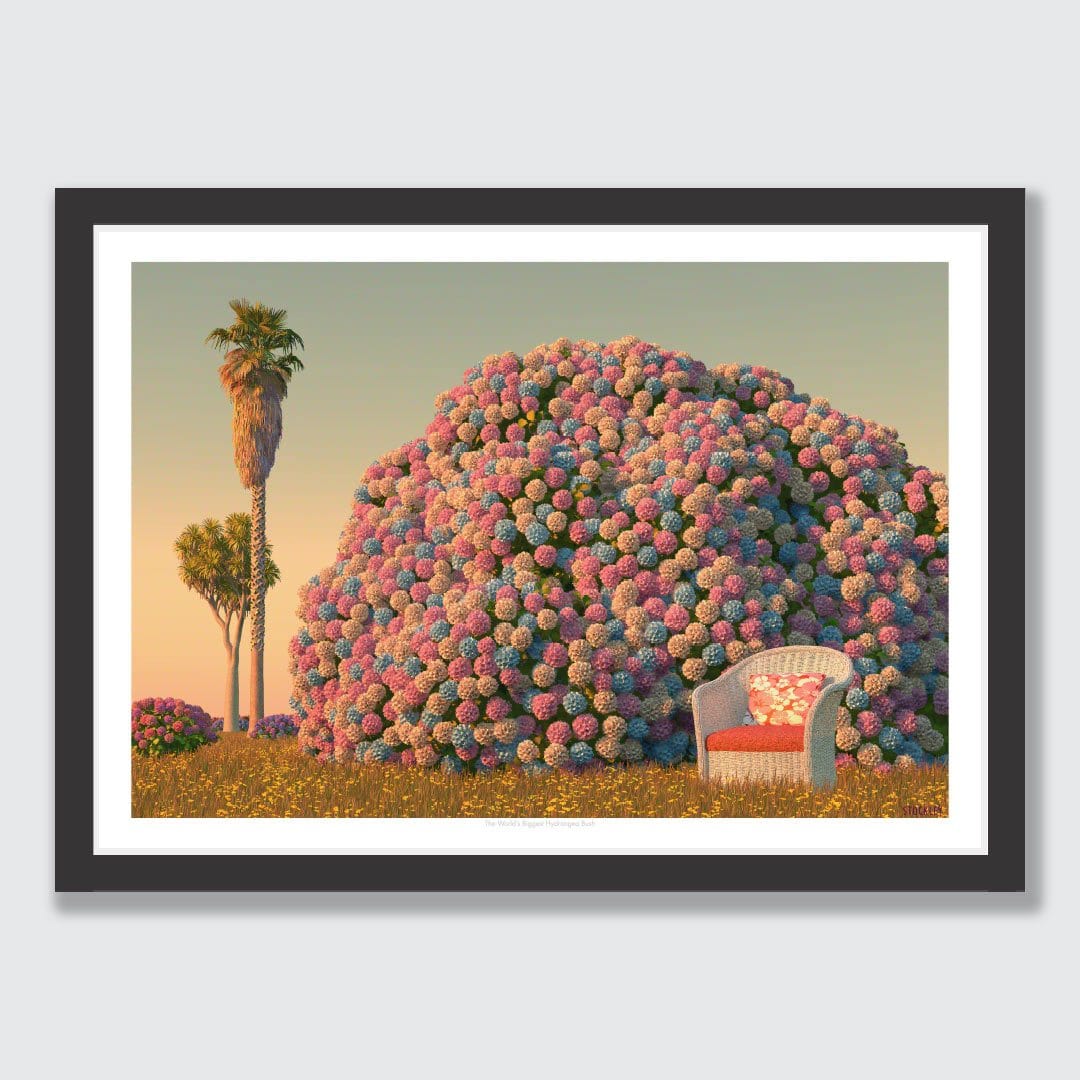 The World's Biggest Hydrangea Bush Art Print by Simon Stockley