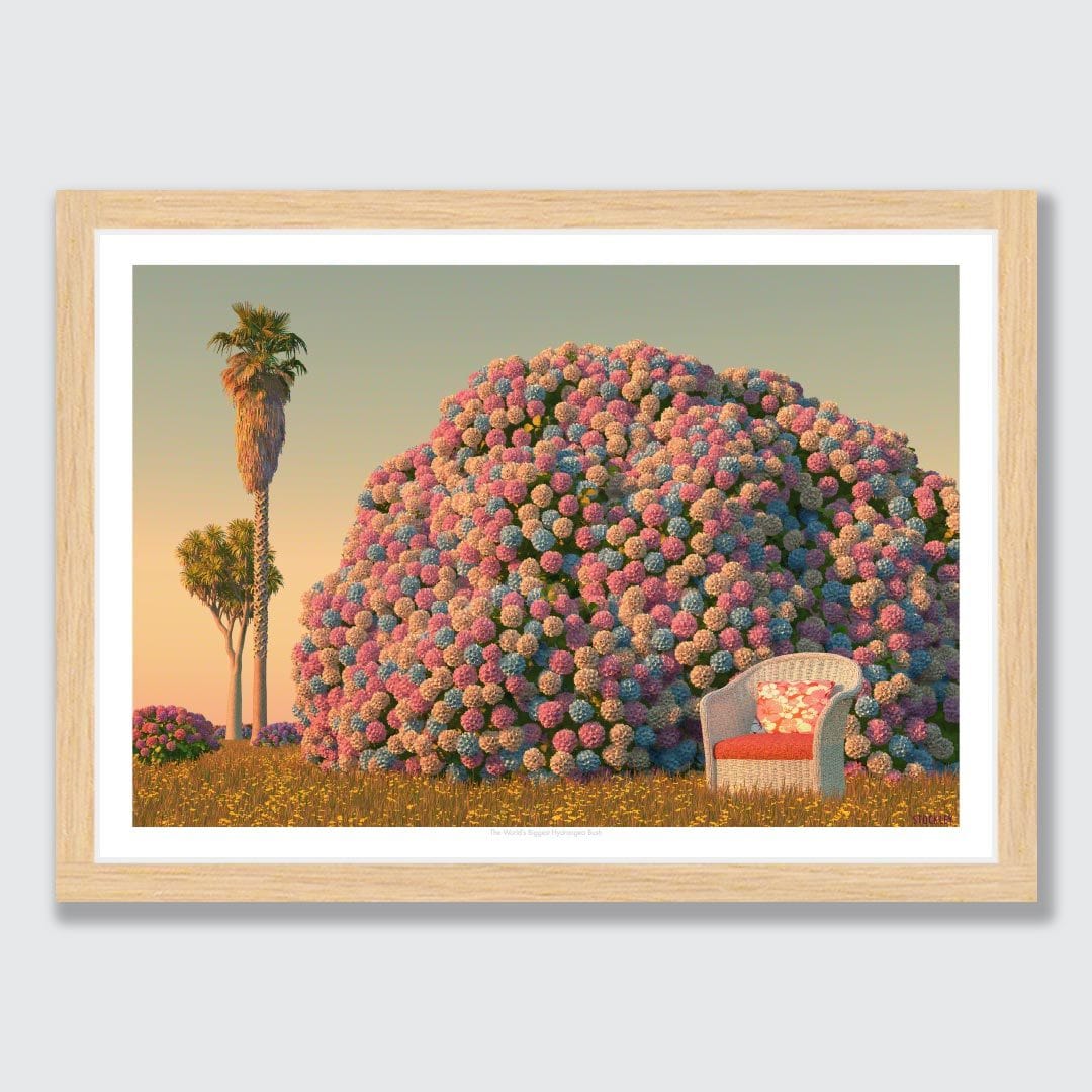 The World's Biggest Hydrangea Bush Art Print by Simon Stockley