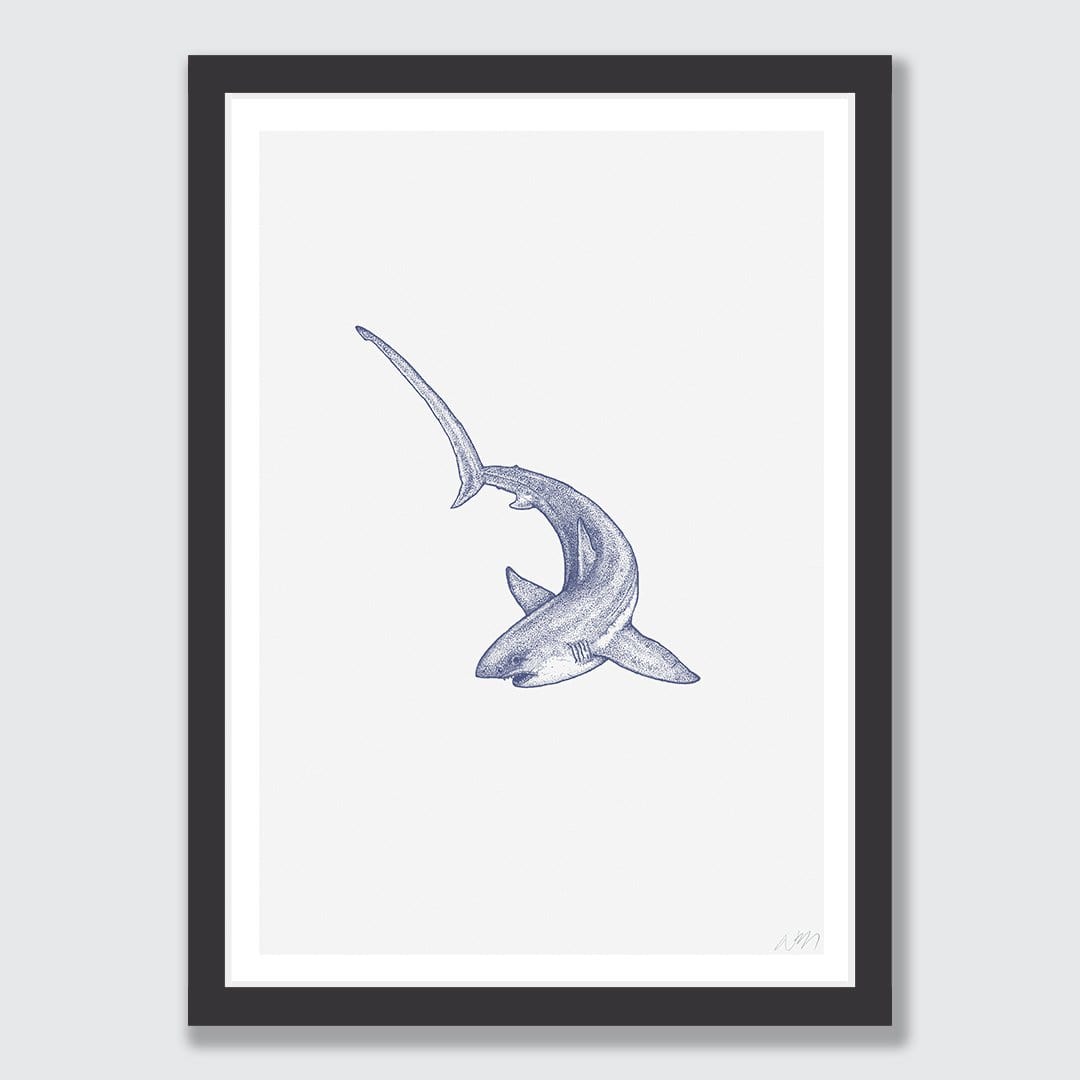 Threasher Shark Art Print by Nathan Miller