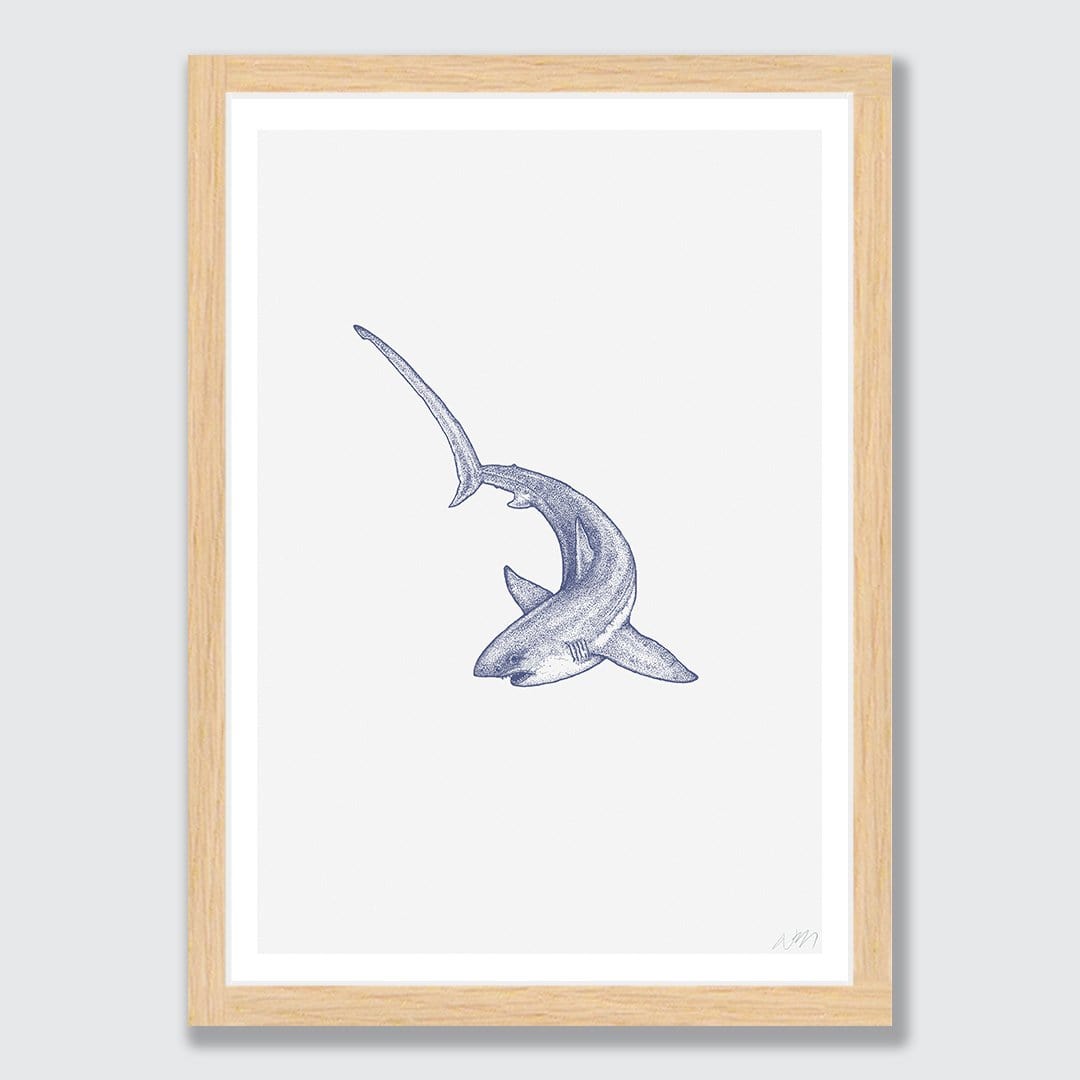 Threasher Shark Art Print by Nathan Miller