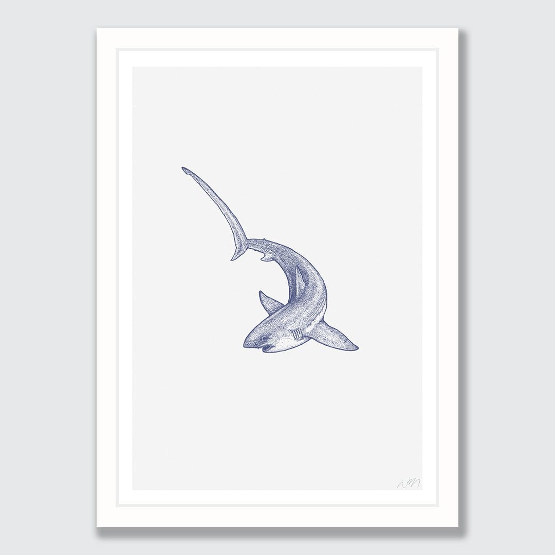 Threasher Shark Art Print by Nathan Miller