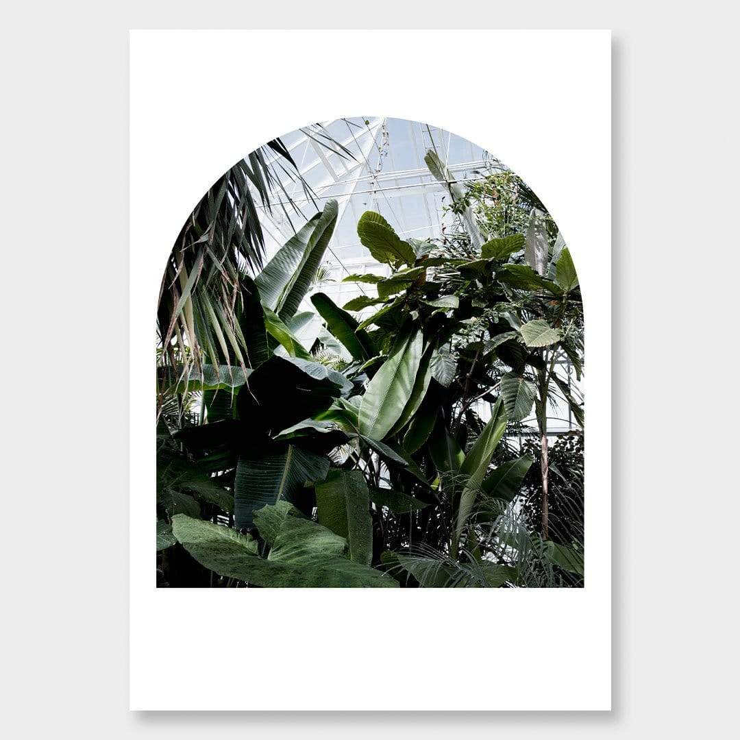 The Tropical House II Photographic Print by Amy Wybrow
