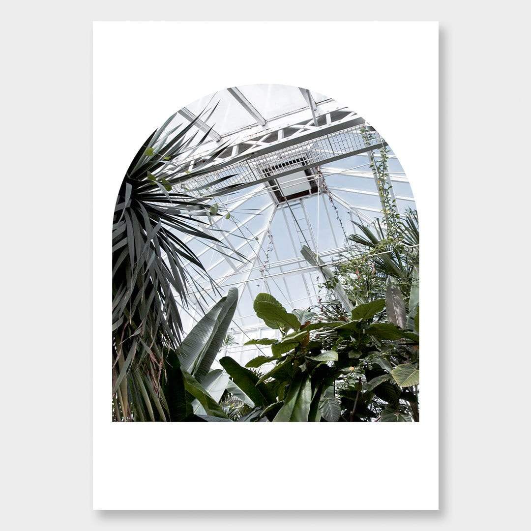 The Tropical House III Photographic Print by Amy Wybrow
