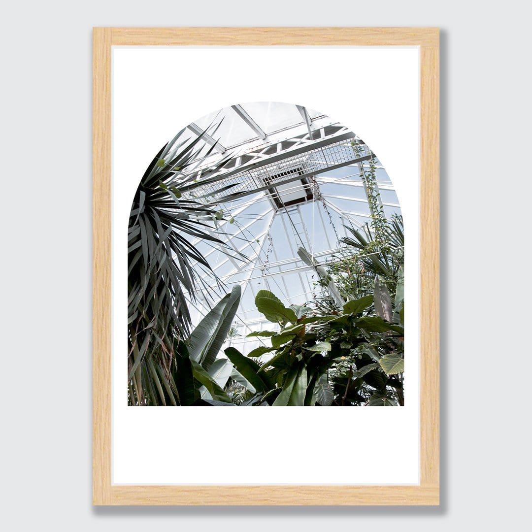 The Tropical House III Photographic Print by Amy Wybrow