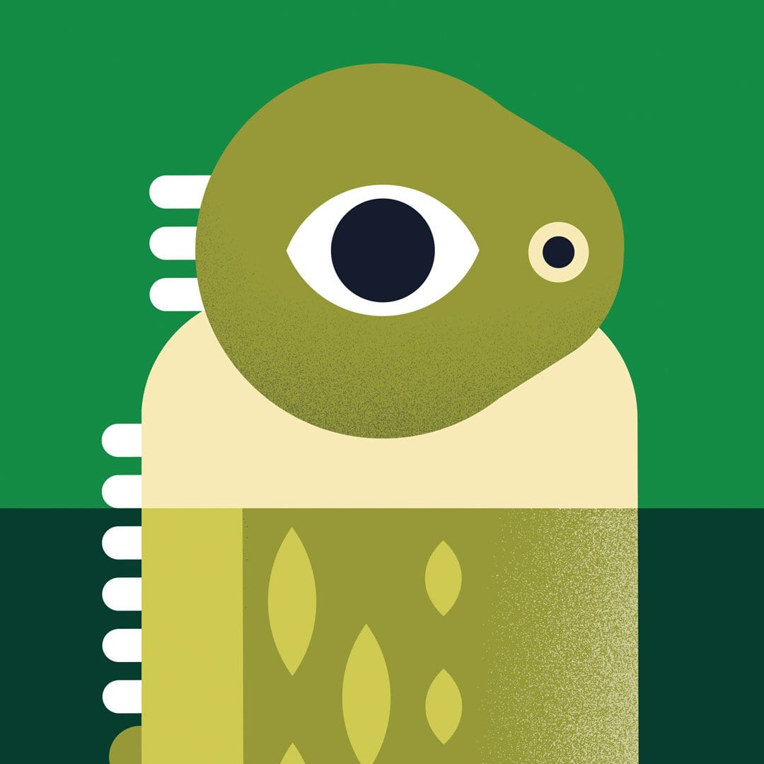 Tuatara Art Print by Beth Xia