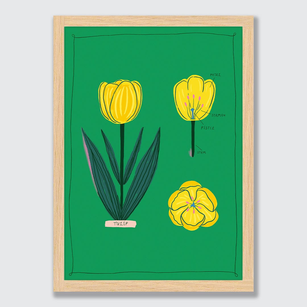 Tulip Art Print by Crissie Rodda